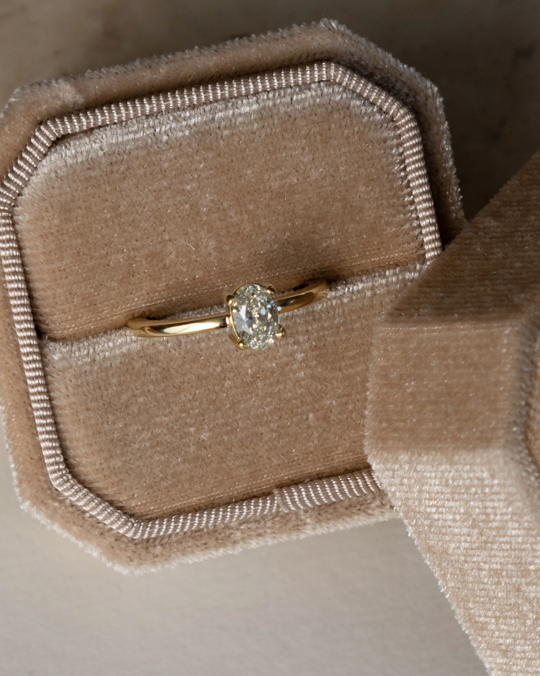 Anillo Natales
