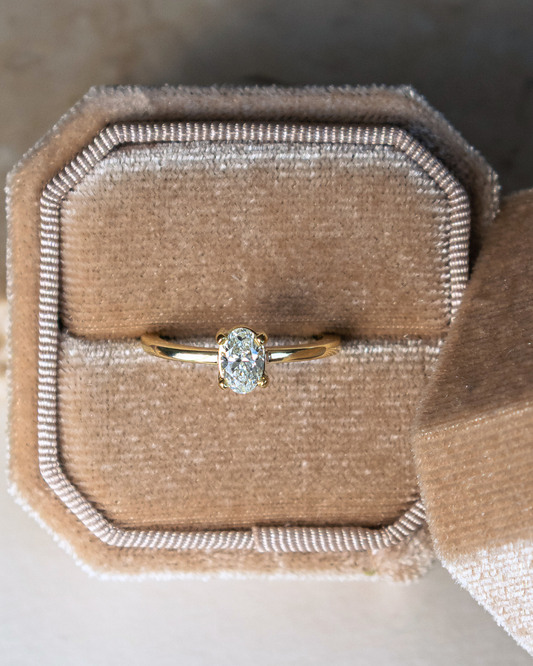 Anillo Natales