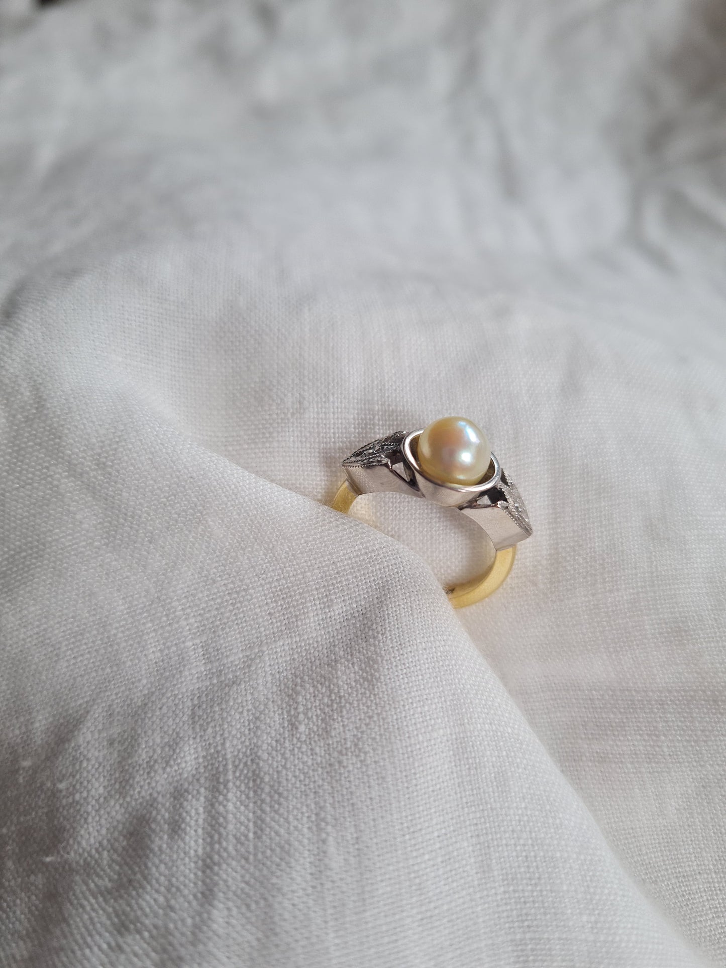 Anillo Veneto