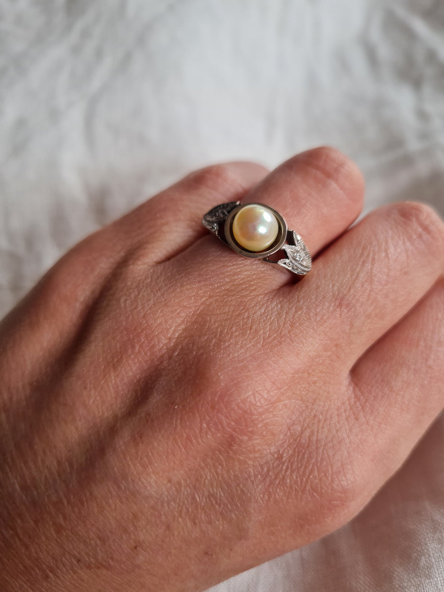 Anillo Veneto