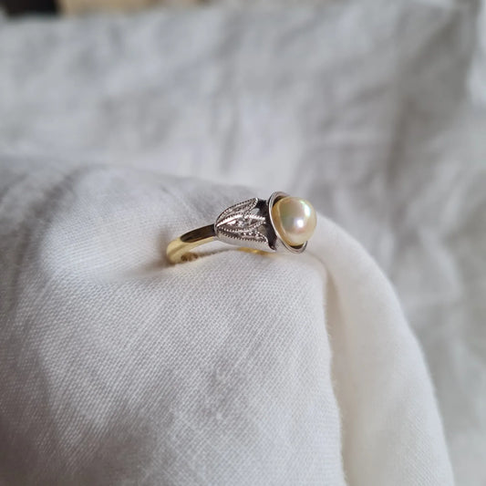 Anillo Veneto